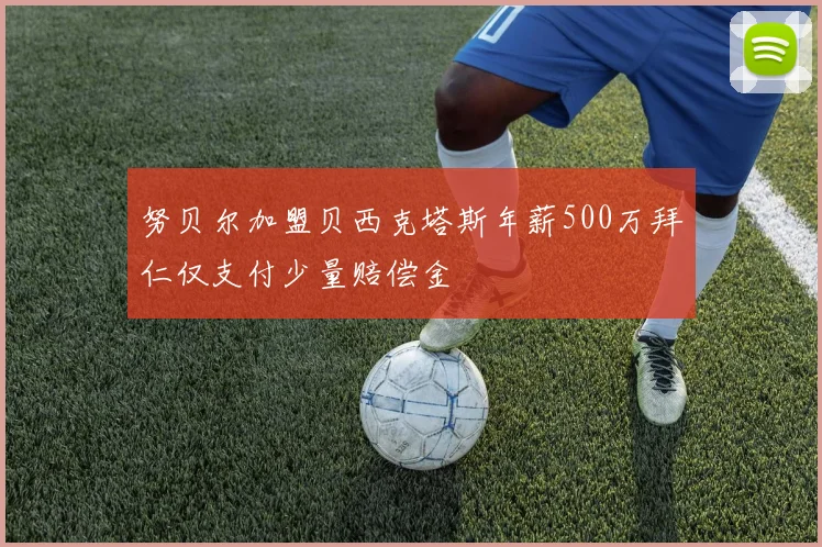 努贝尔加盟贝西克塔斯年薪500万拜仁仅支付少量赔偿金