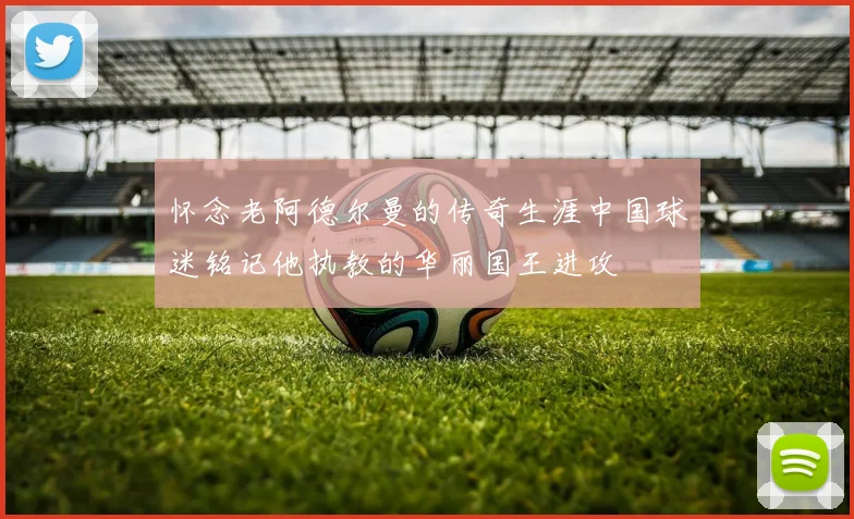 怀念老阿德尔曼的传奇生涯中国球迷铭记他执教的华丽国王进攻